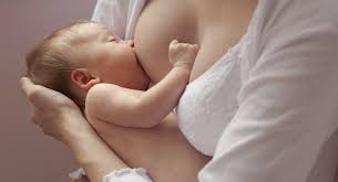 Postnatal-breast