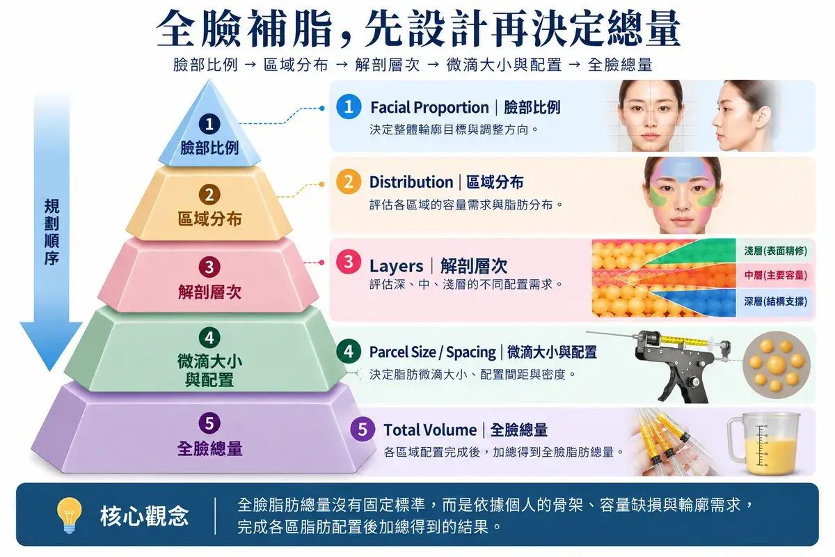 全臉脂肪移植五層規劃金字塔示意圖，依序呈現臉部比例、區域分布、解剖層次、脂肪微滴大小與配置，以及全臉脂肪總量